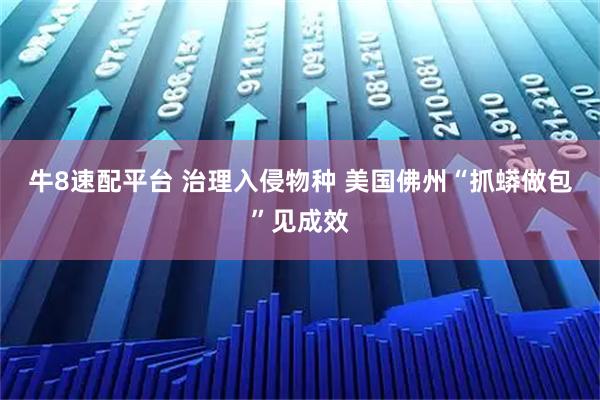 牛8速配平台 治理入侵物种 美国佛州“抓蟒做包”见成效